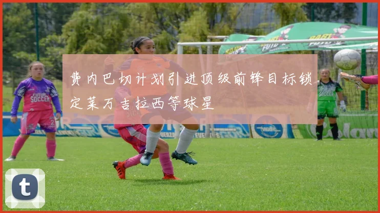 费内巴切计划引进顶级前锋目标锁定莱万吉拉西等球星